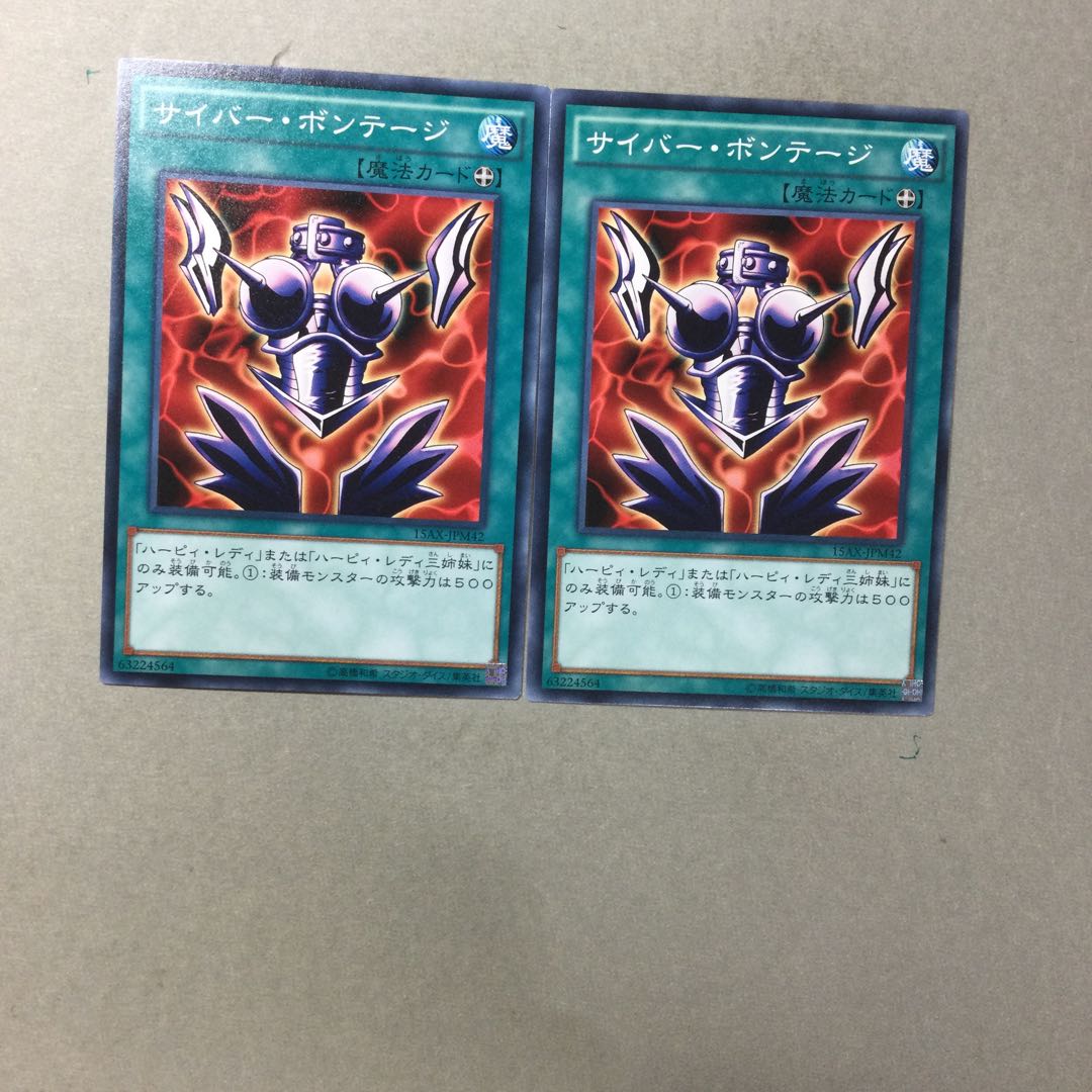 サイバー・ボンテージ　２枚