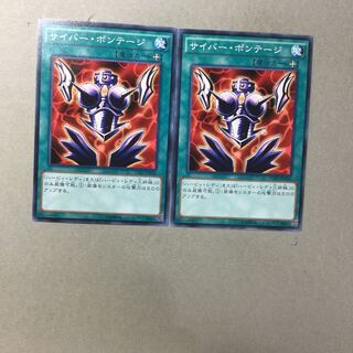 サイバー・ボンテージ　２枚
