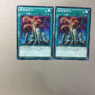 捕食接ぎ木　２枚