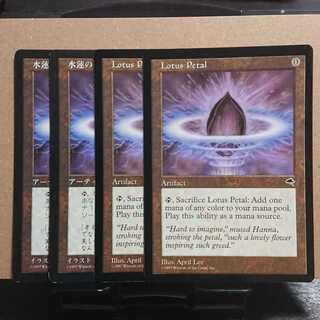 水蓮の花びら/Lotus Petal ４枚セット