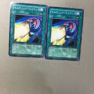 モルティング・エスケープ　２枚