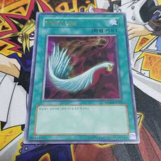 ハーピィの羽根帚 韓国版 遊戯王 虎ふぐ