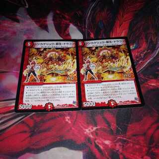 シンカゲリュウ柳生ドラゴン 2枚セット