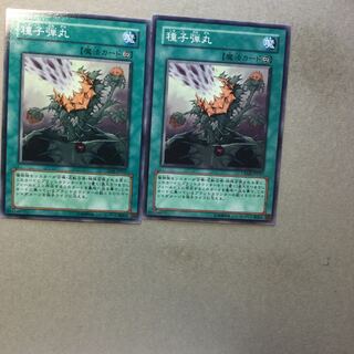 種子弾丸　２枚