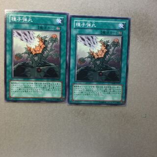 種子弾丸　２枚