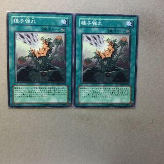 種子弾丸　２枚