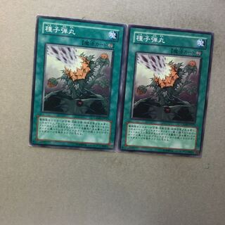 種子弾丸　２枚