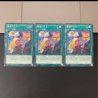 煉獄の災天 レア