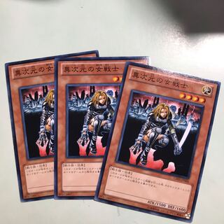 異次元の女戦士