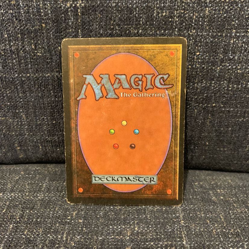 MTG Savannah 3ED リバイズド-①