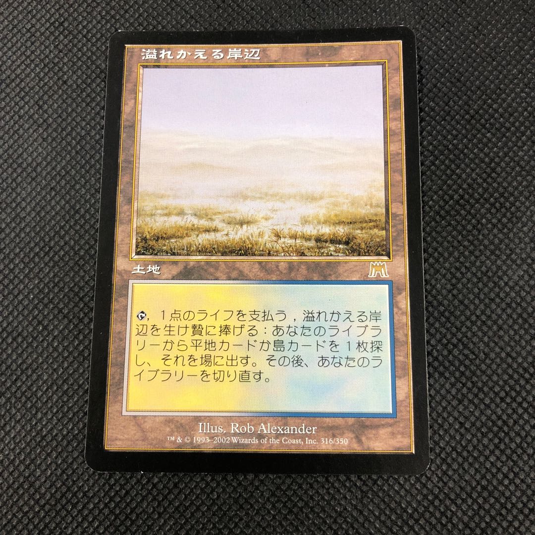 溢れかえる岸辺