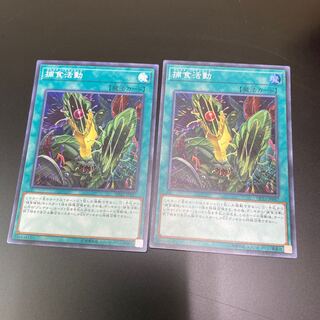 捕食活動 スーパーレア