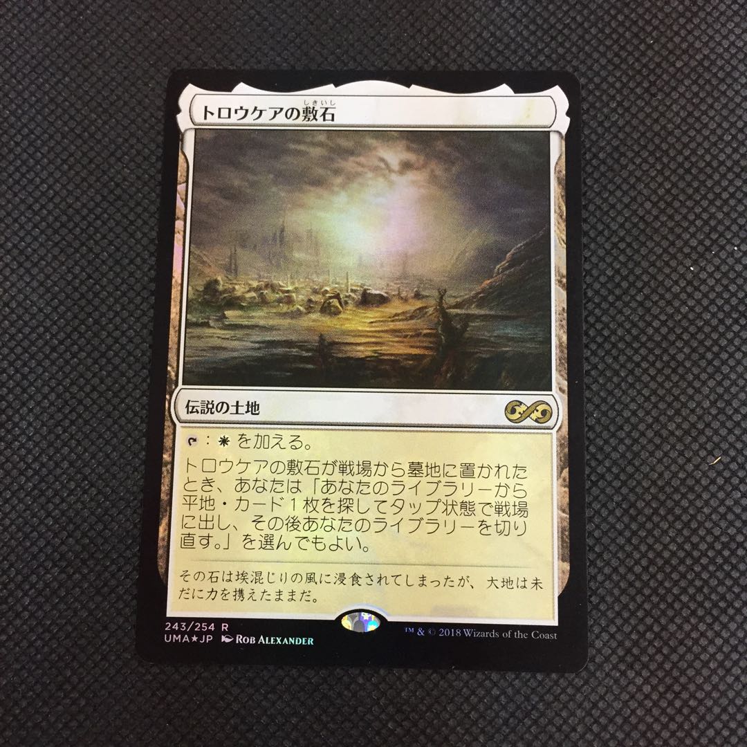 トロウケアの敷石 foil