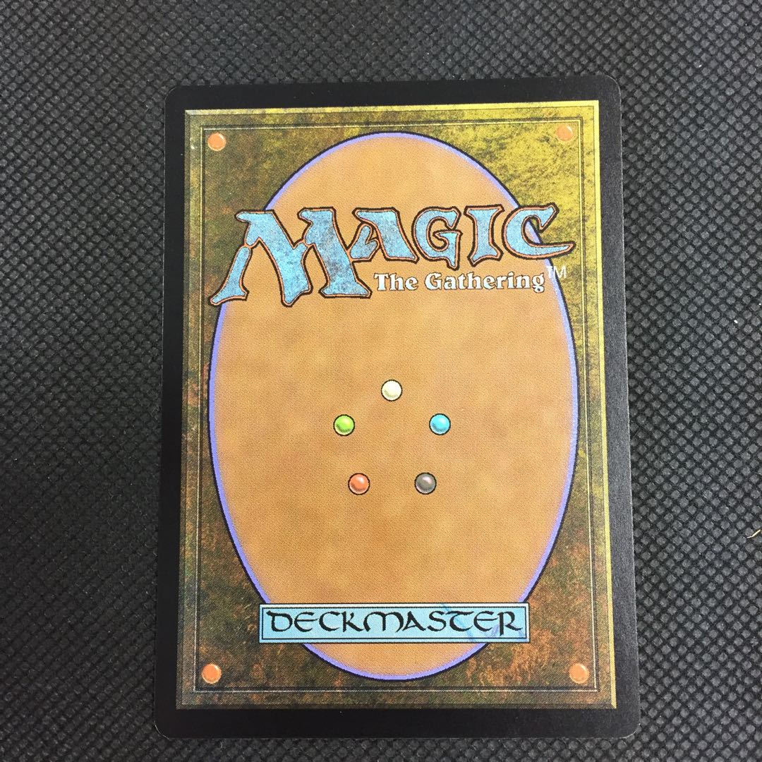 トロウケアの敷石 foil