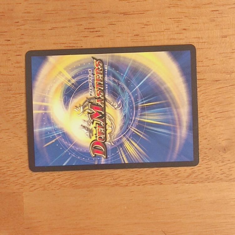 Hal さん専用 ムカデ 1枚