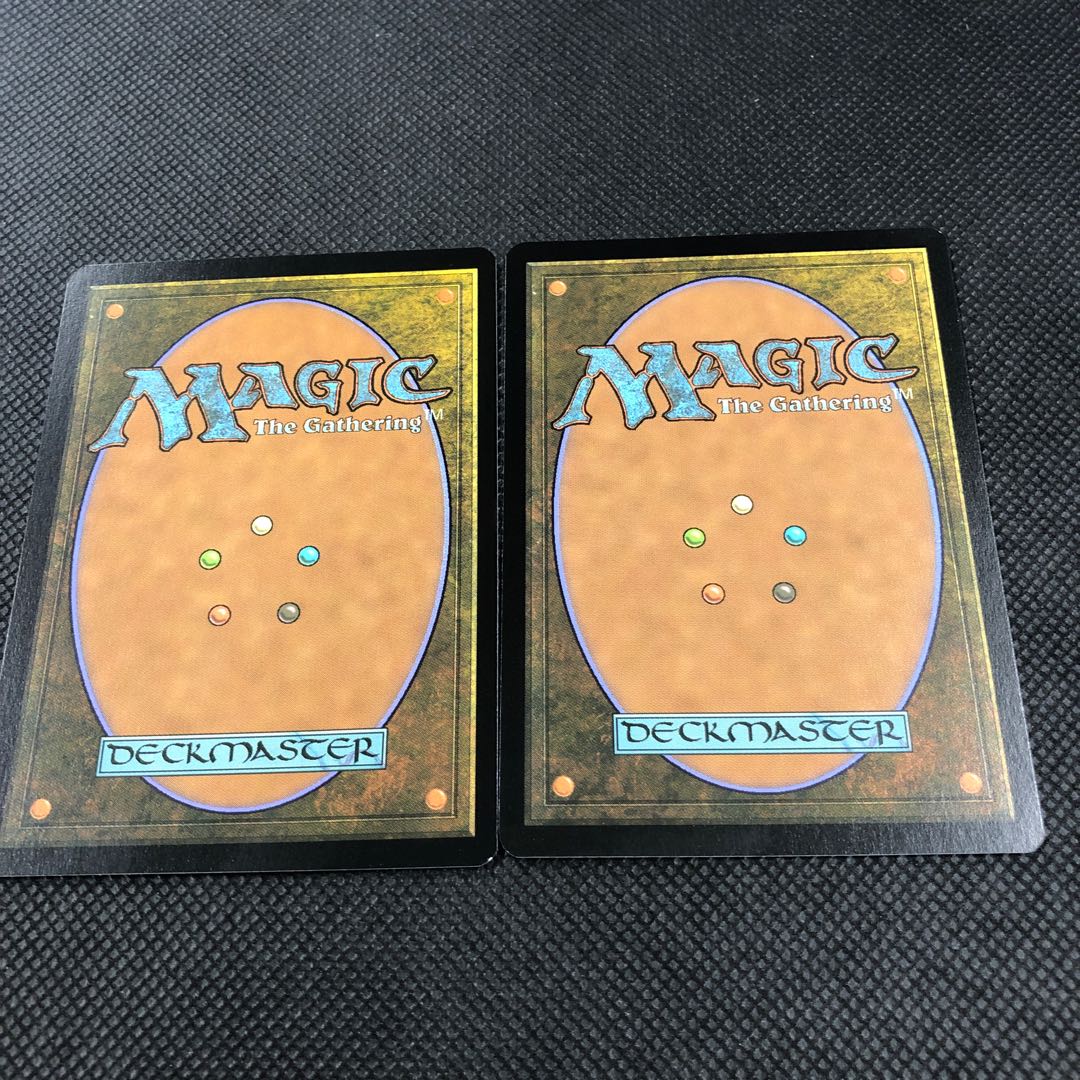 ワームとぐろエンジン 2枚