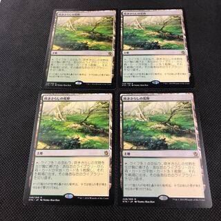 吹きさらしの荒野 4枚