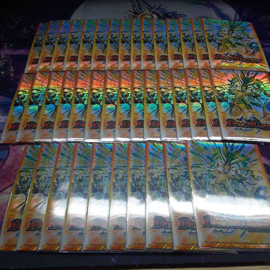 龍聖霊ウルフェウススリーブ