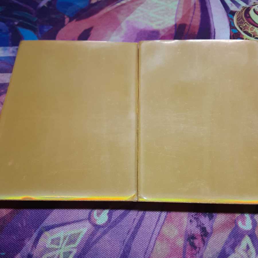 龍聖霊ウルフェウススリーブ