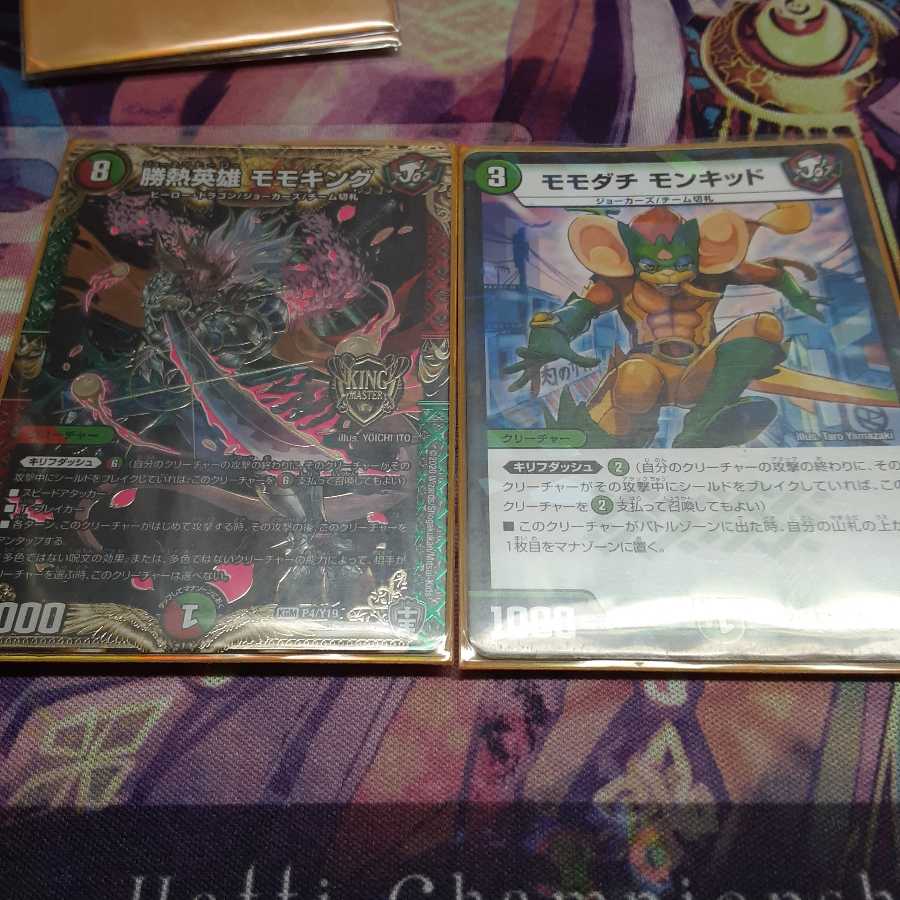 龍聖霊ウルフェウススリーブ