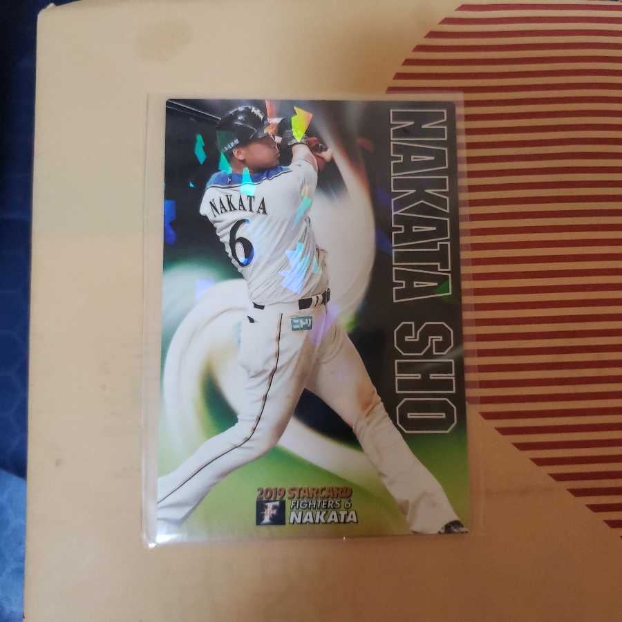 プロ野球チップス2019　中田翔