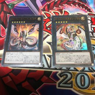 サイバー・ドラゴン・ノヴァ