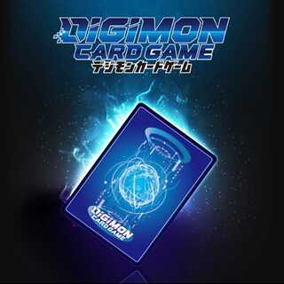 【最安値　第３弾カートン】