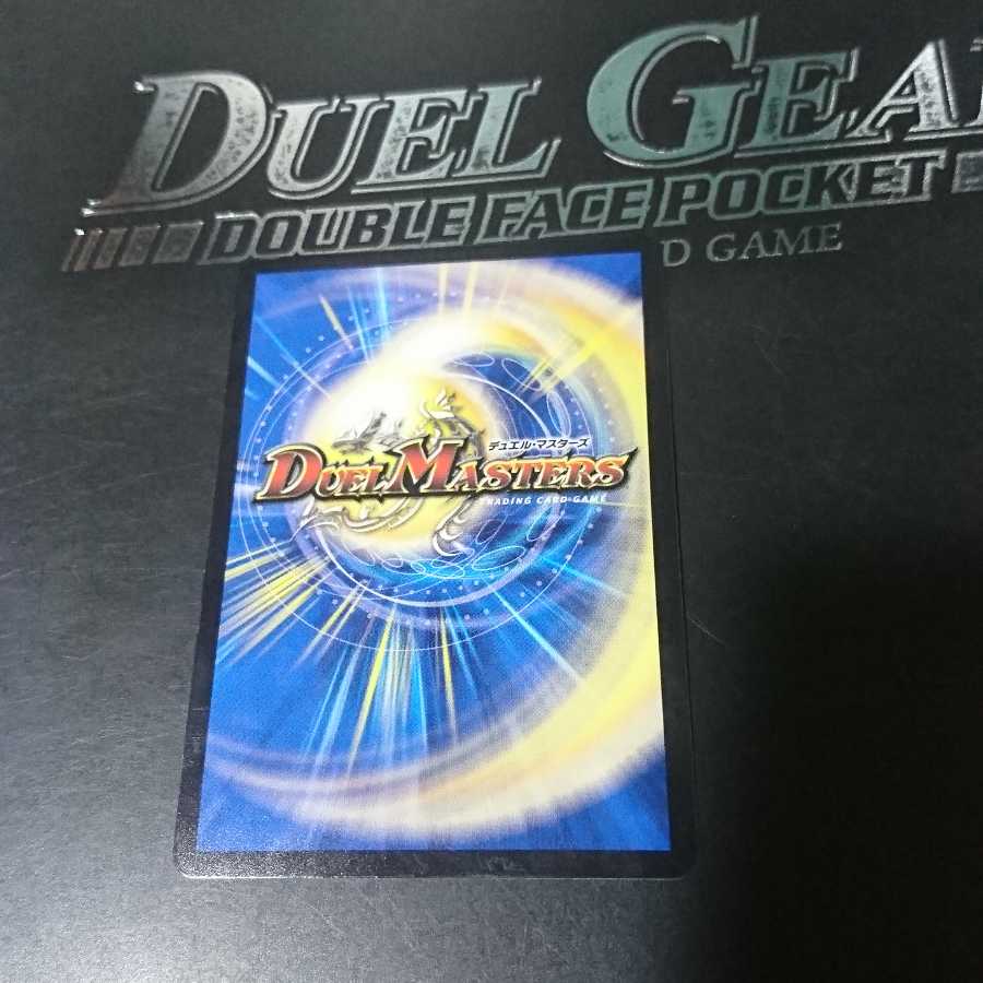 「絶対の楯騎士」