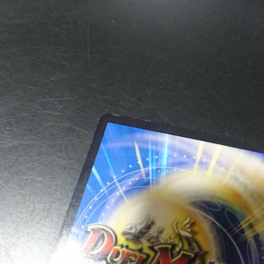 「絶対の楯騎士」