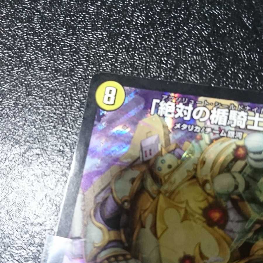 「絶対の楯騎士」