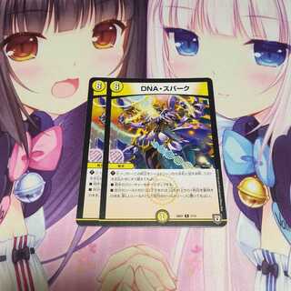 DNA・スパーク