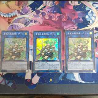 蒼翠の風霊使いウィン