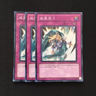 専用(2点)d50 威風堂々 スーパーレア 3枚 遊戯王 トレトレ