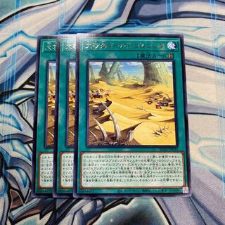 大砂海ゴールド・ゴルゴンダ R