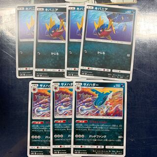 キバニア サメハダー