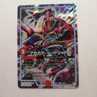 アカカゲ・レッドシャドウ