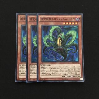 d93 捕食植物ドロソフィルム・ヒドラ スーパーレア 3枚 遊戯王 トレトレ