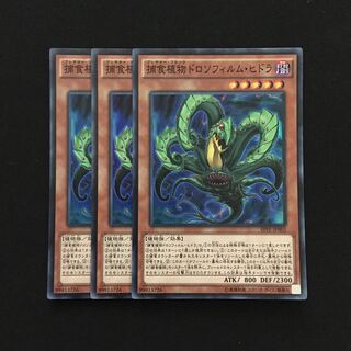 d94 捕食植物ドロソフィルム・ヒドラ スーパーレア 3枚 遊戯王 トレトレ