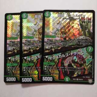 龍罠 エスカルデン｜マクスカルゴ・トラップ