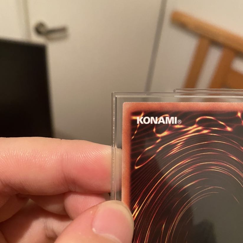 [美品　最安値] 万物創世龍