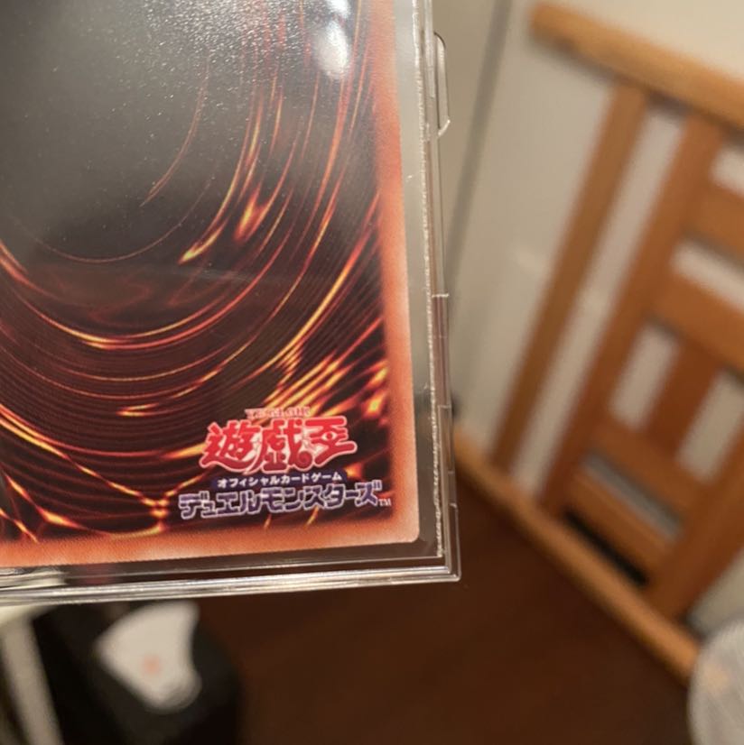 [美品　最安値] 万物創世龍