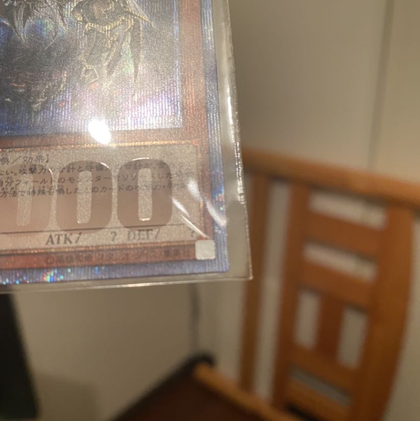 [美品　最安値] 万物創世龍