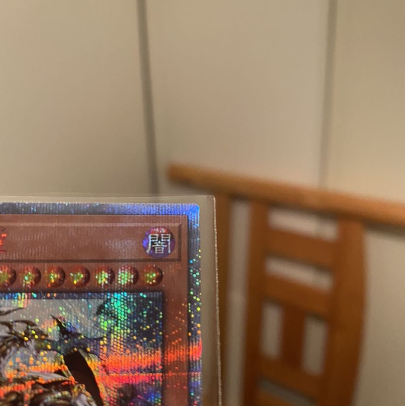 [美品　最安値] 万物創世龍