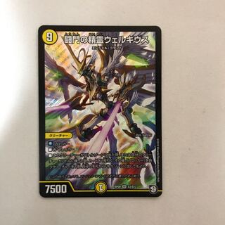 闘門の精霊ウェルキウス