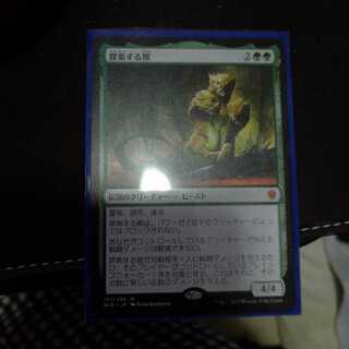 mtg 探索する獣