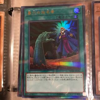 シノンさん専用