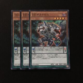 d146 DDオルトロス スーパーレア 3枚 遊戯王 トレトレ