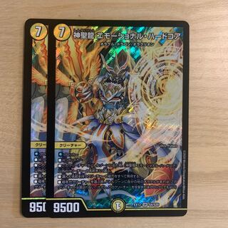 神聖龍 エモーショナル・ハードコア