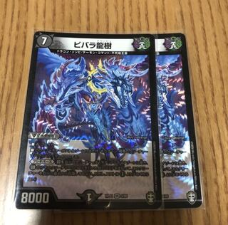 ビバラ龍樹　2枚