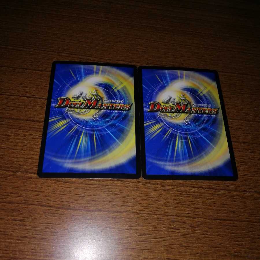 Saso Squirrel Rage Set of 4 4枚